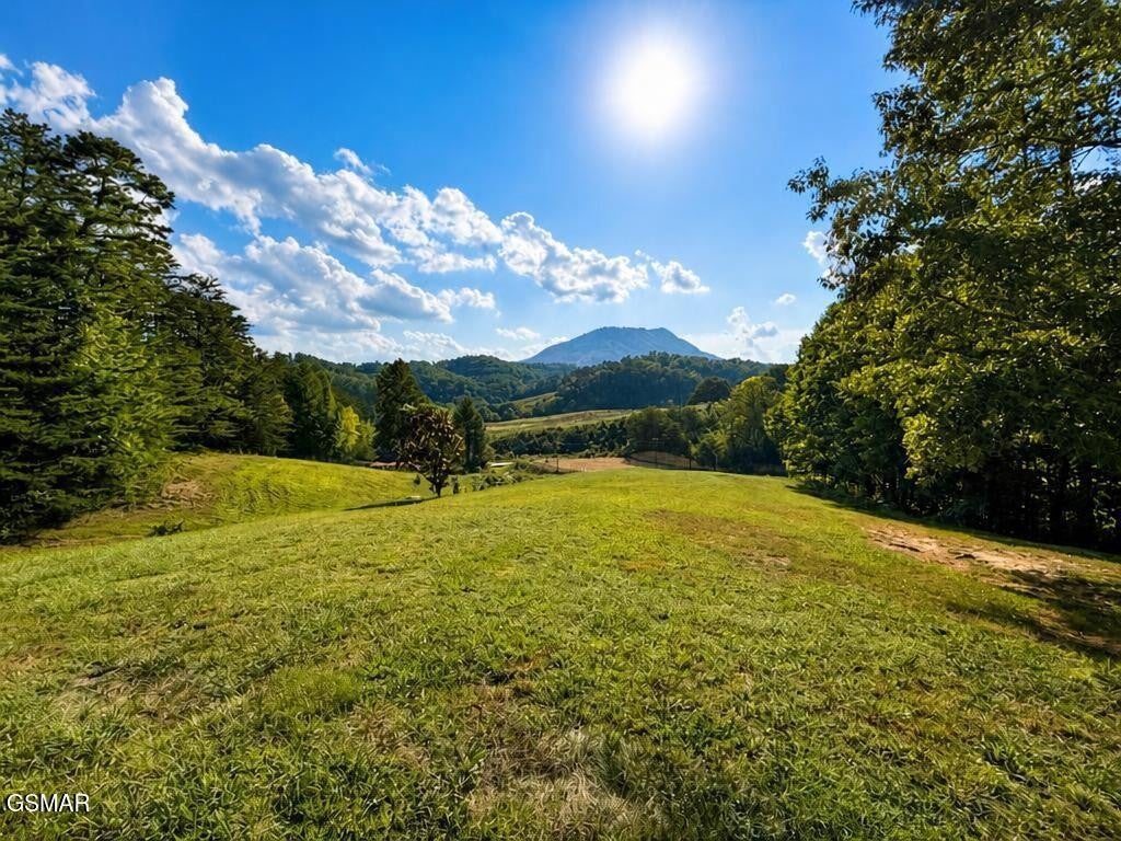1341 Goose Gap Road