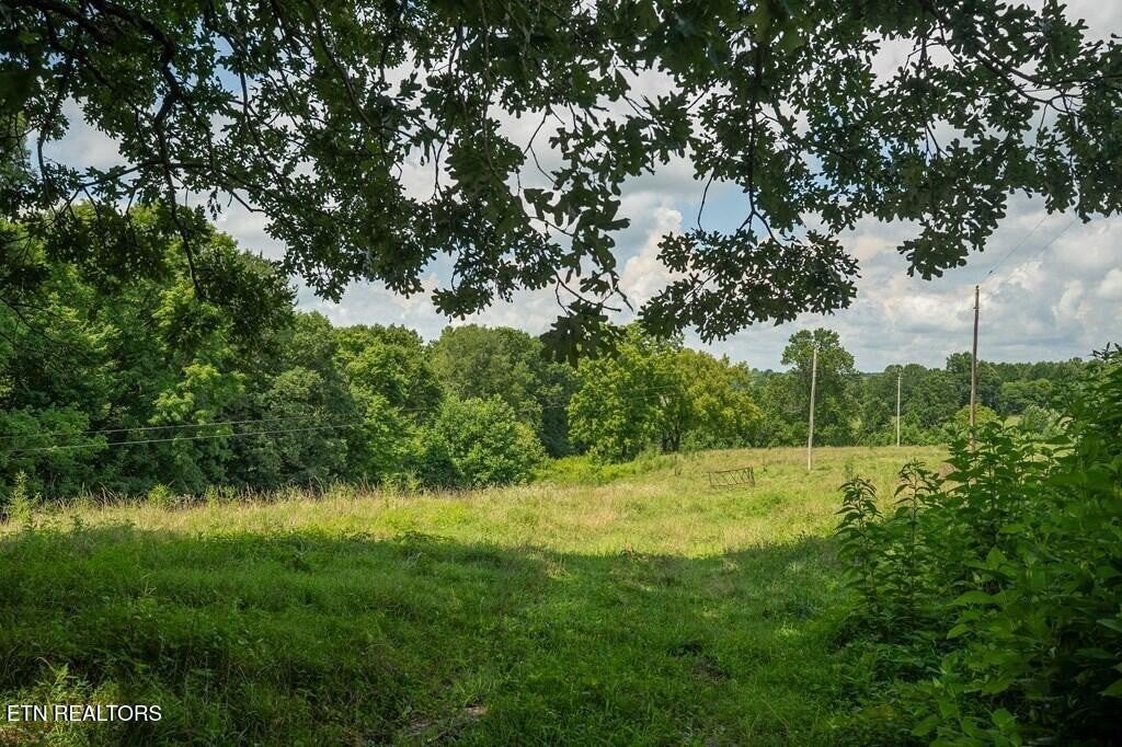 98 Blackburn Fork Rd
