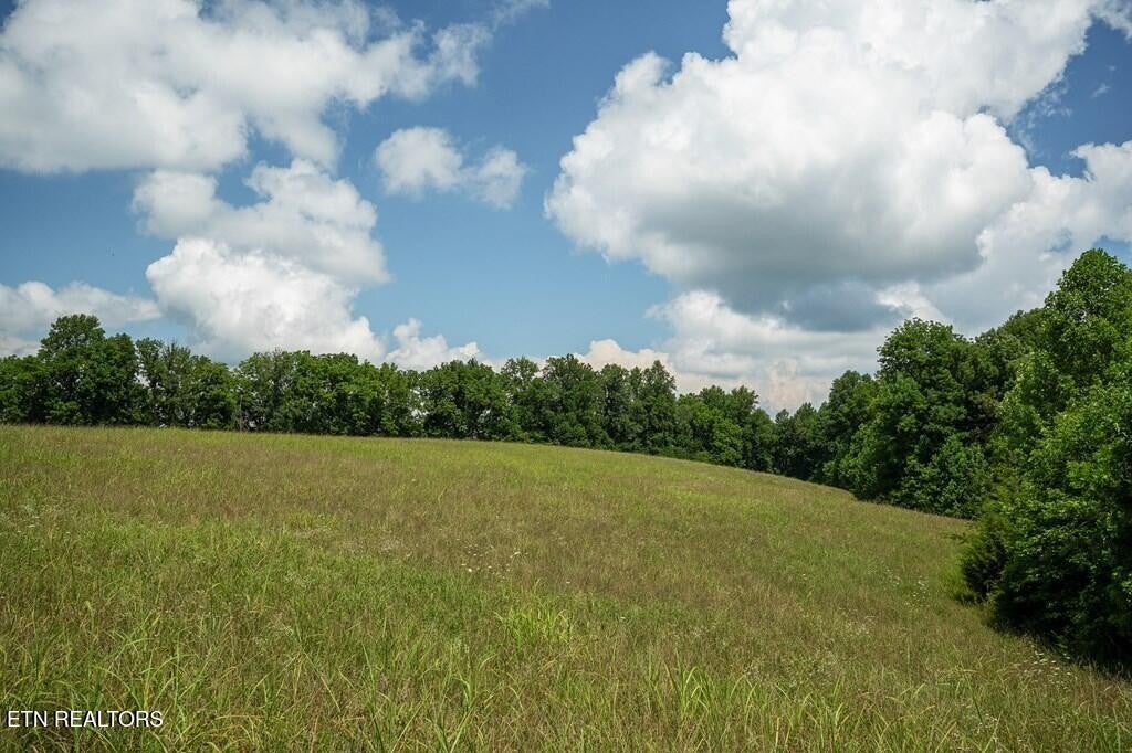 98 Blackburn Fork Rd