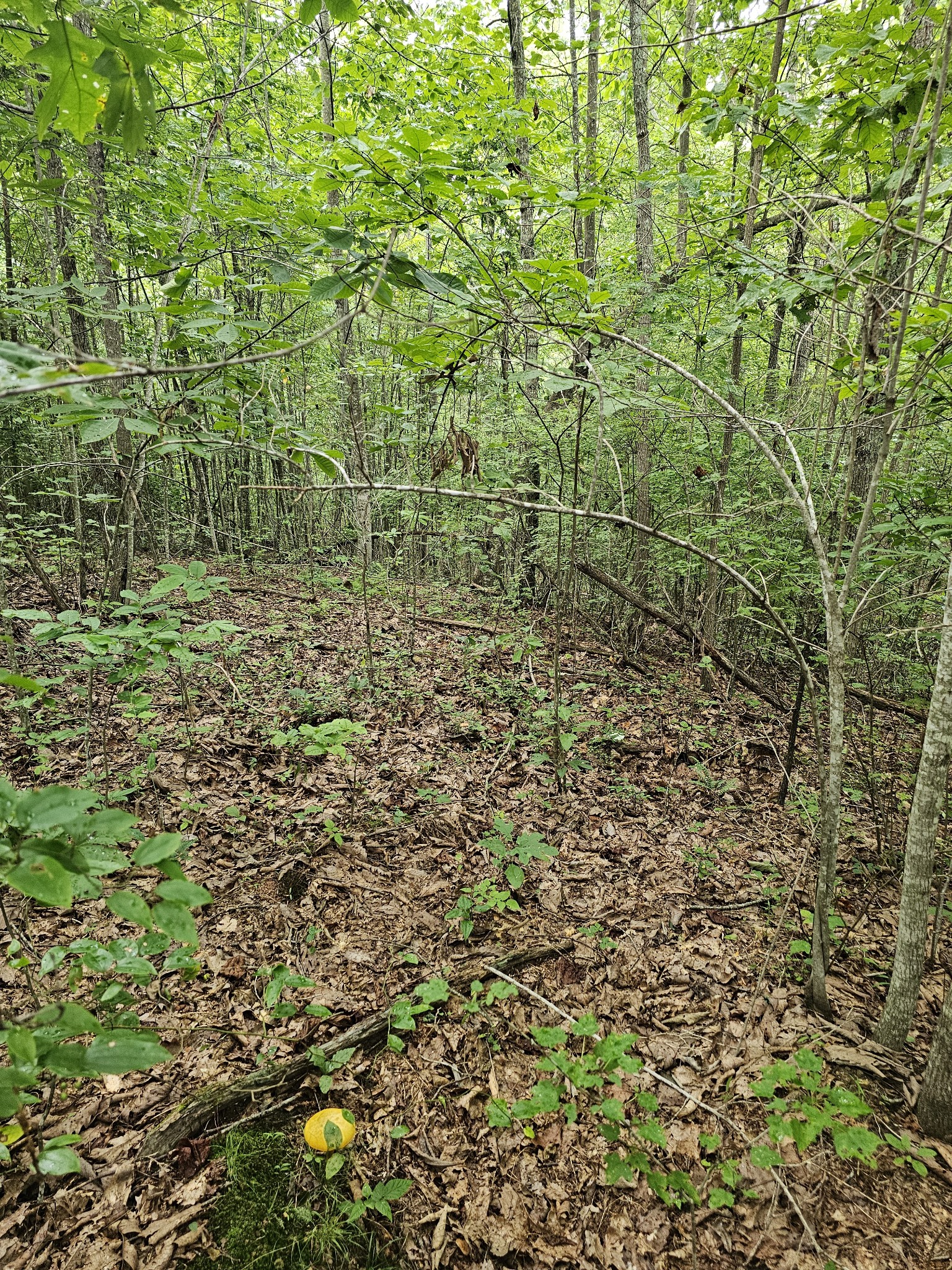 0 Company Farm Rd