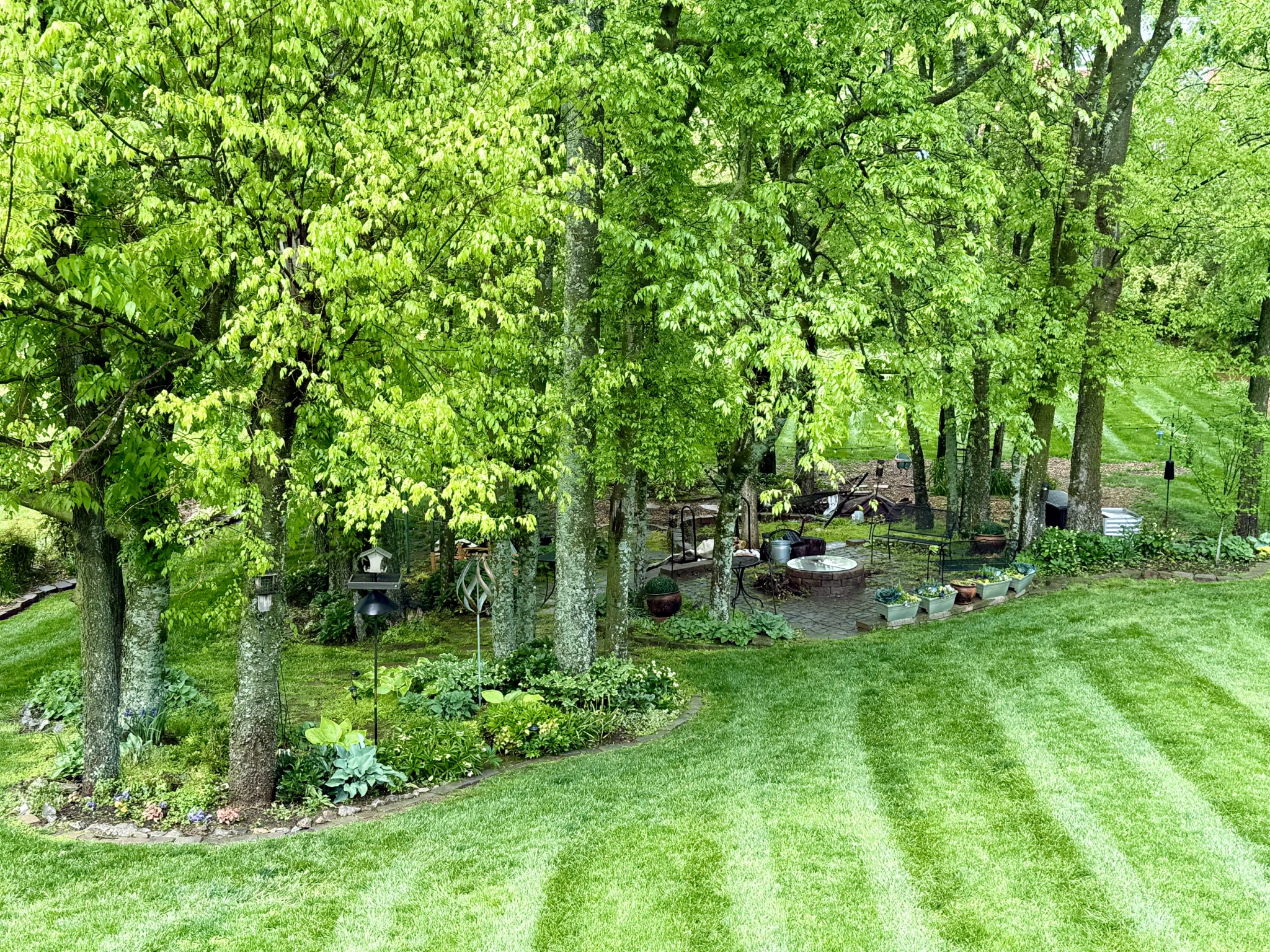 9404 Dove Field Ct