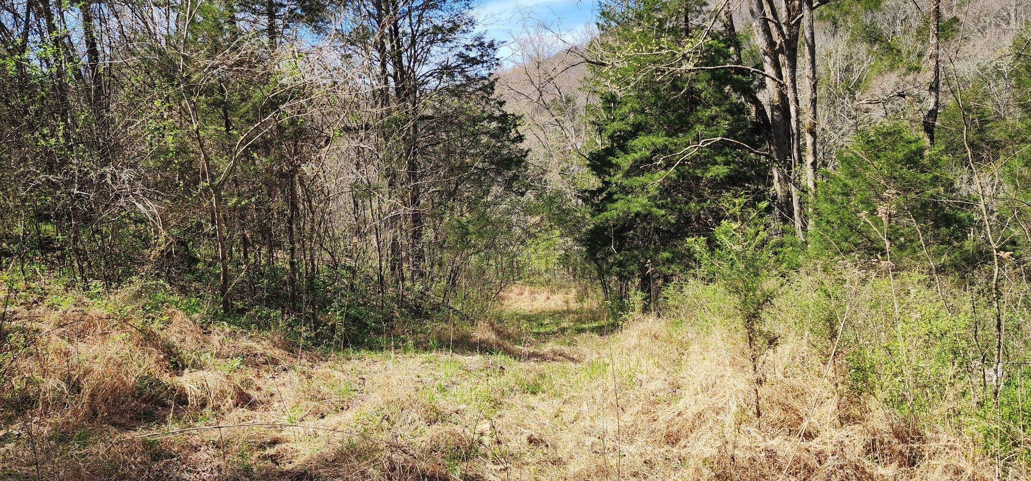 0 Wilson Hollow Rd