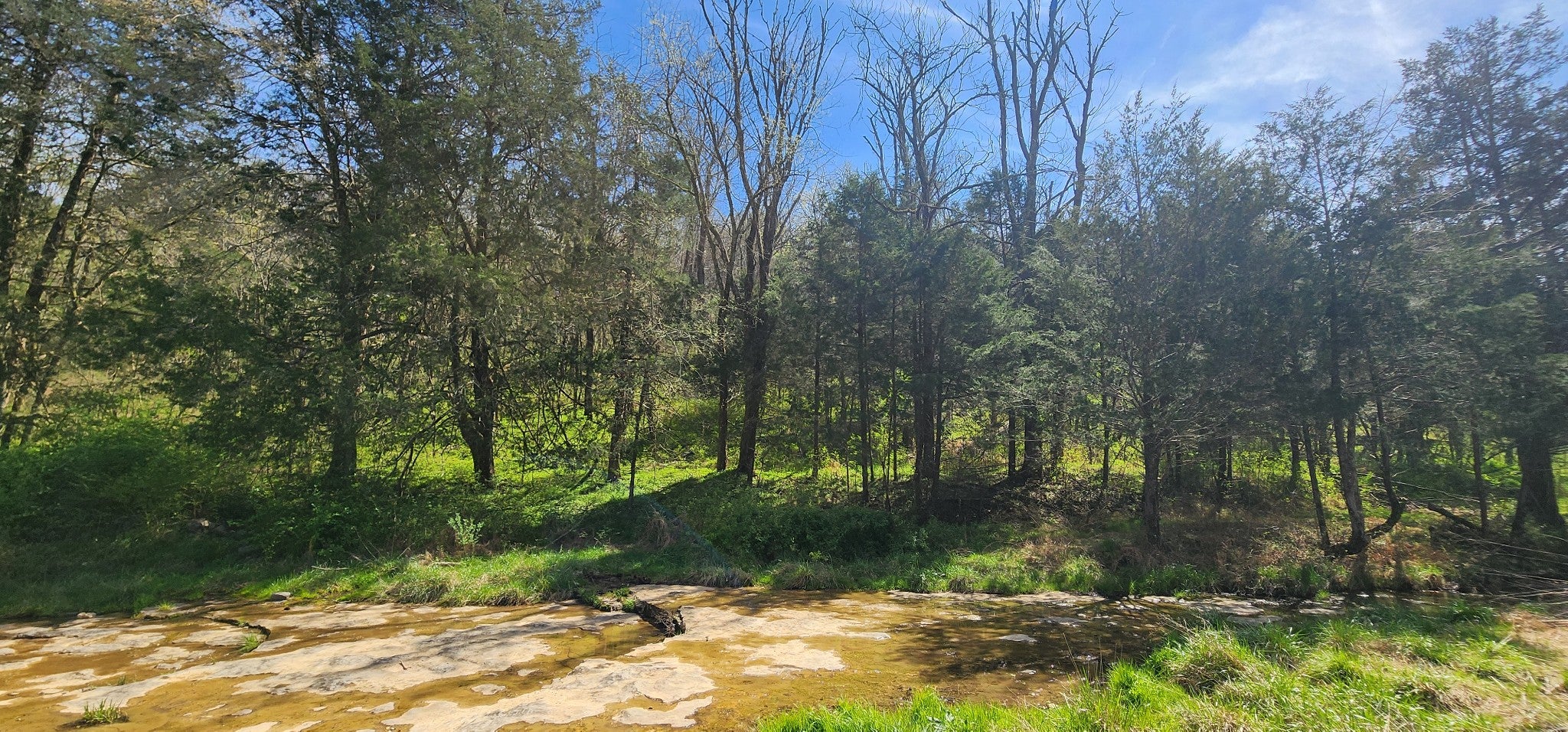 0 Wilson Hollow Rd