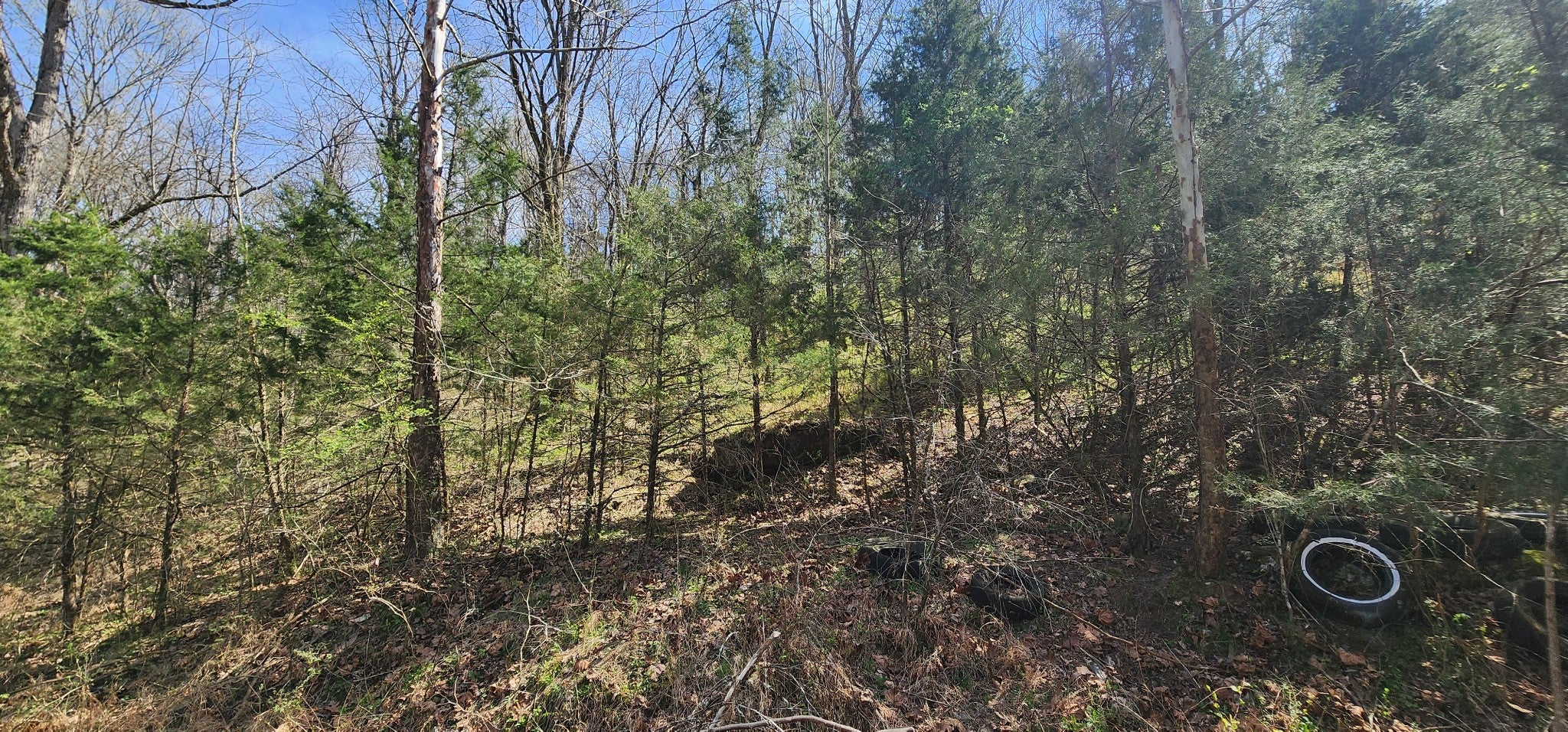 0 Wilson Hollow Rd