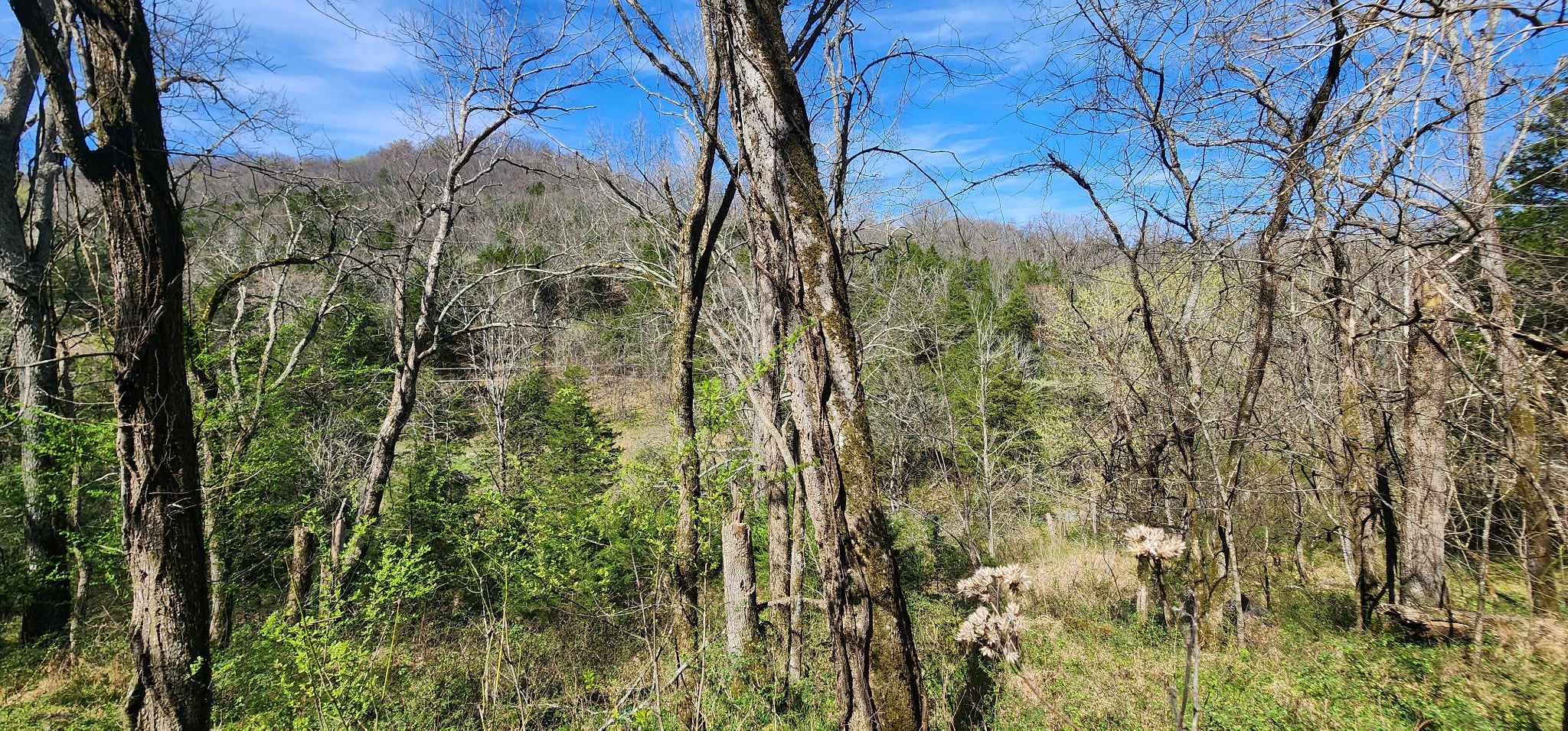 0 Wilson Hollow Rd