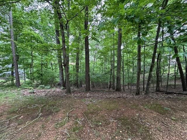 0 ANDERSON HOLLOW RD