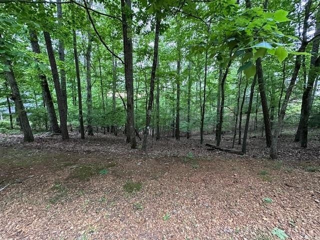 0 ANDERSON HOLLOW RD