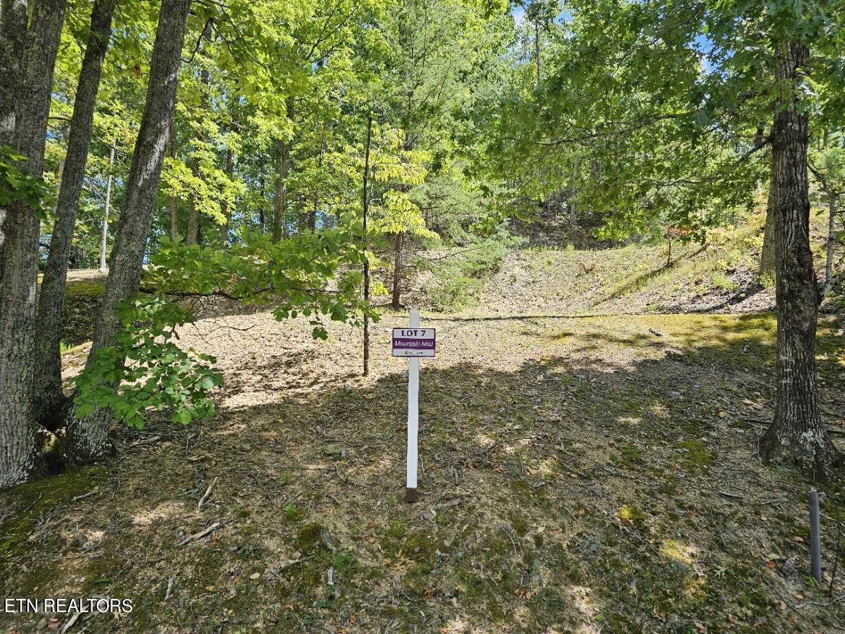 7 Village Circle