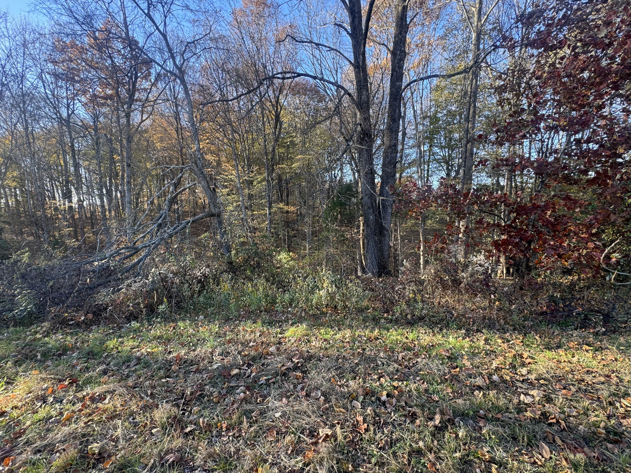 0 Pleasant Grove Rd