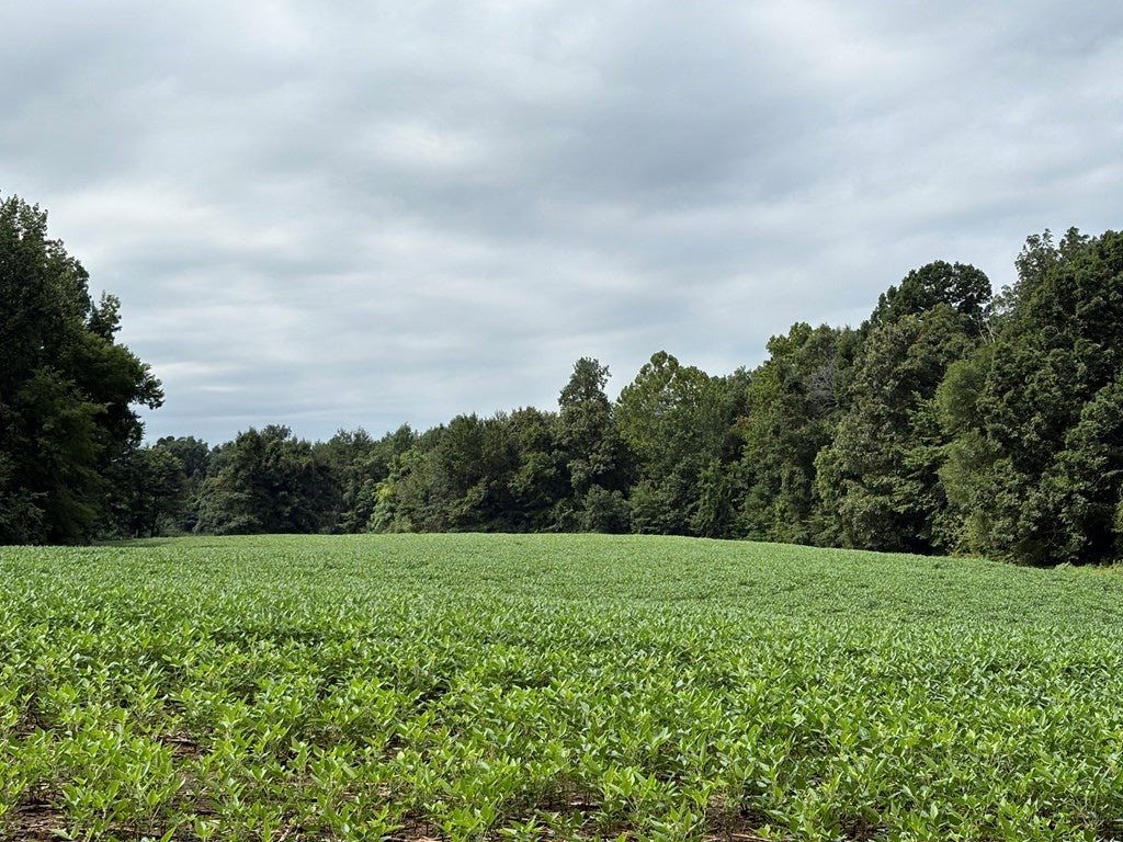 375 Ables Rd