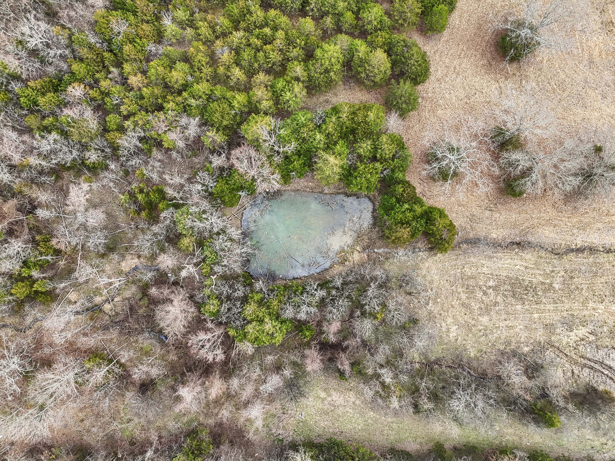 1988 Fayetteville Hwy