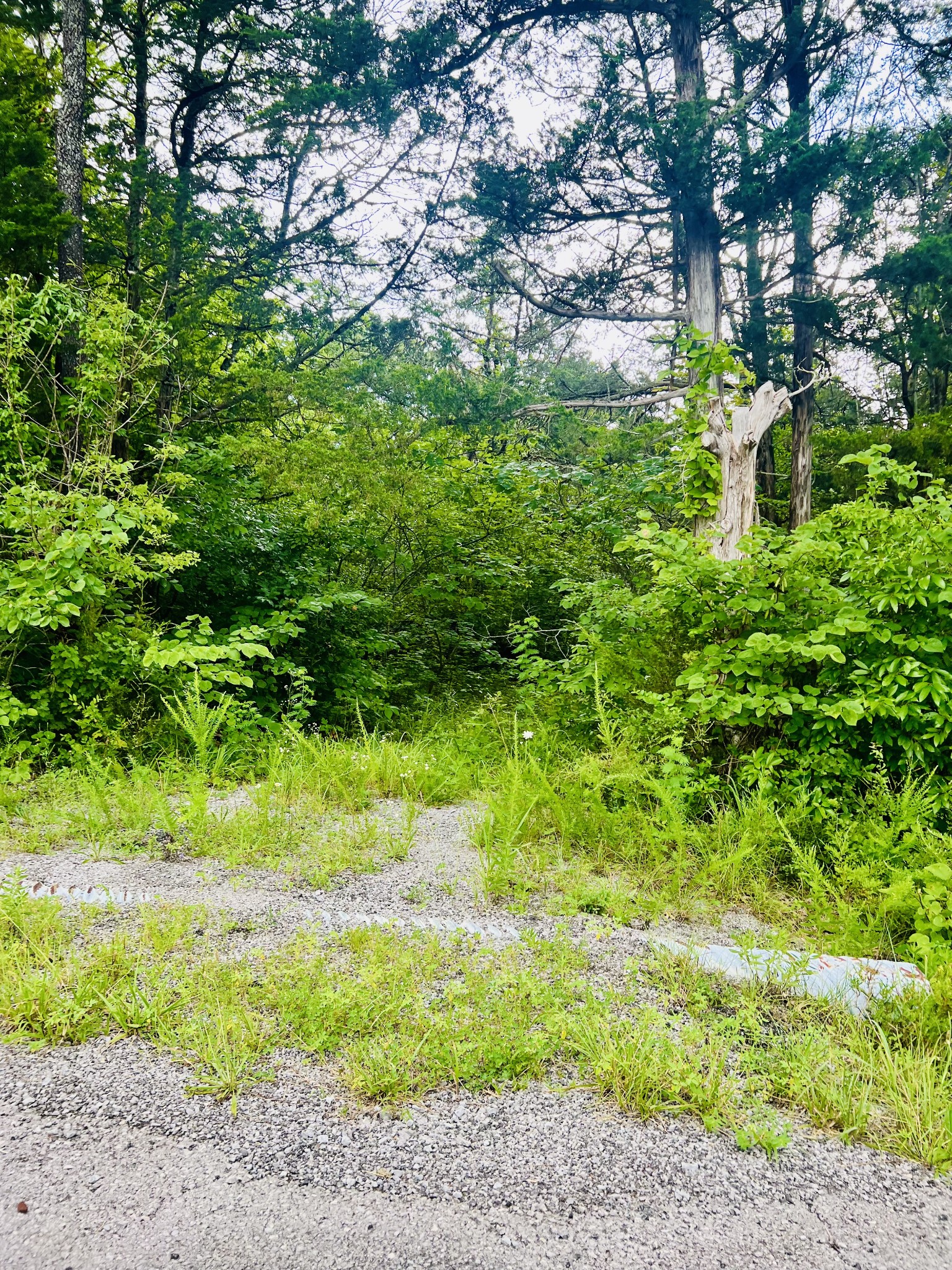 3822 Bivens Hill Road