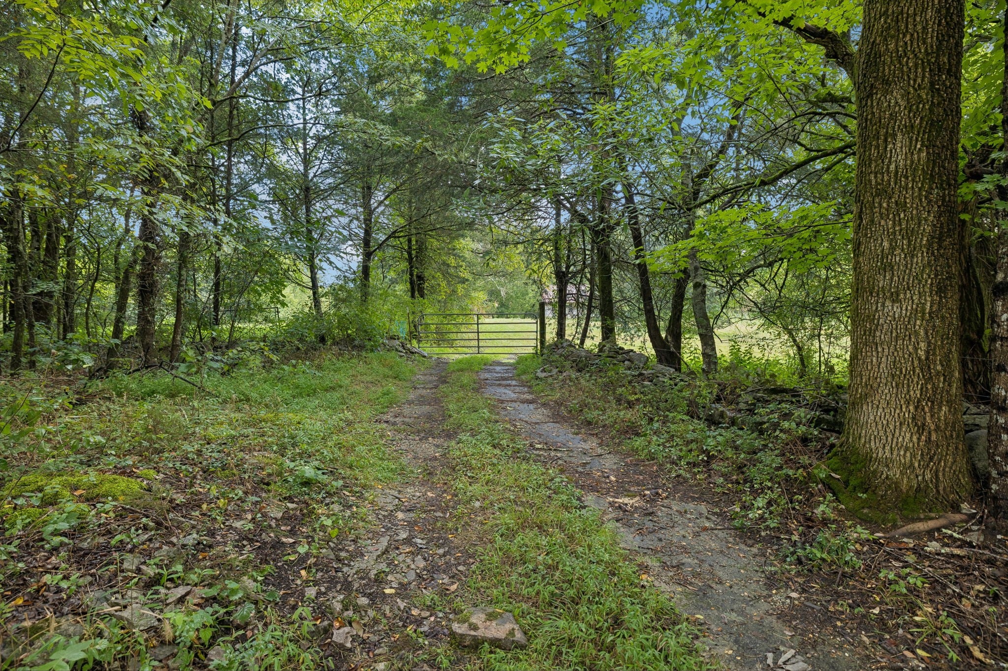 0 Holmes Gap Rd