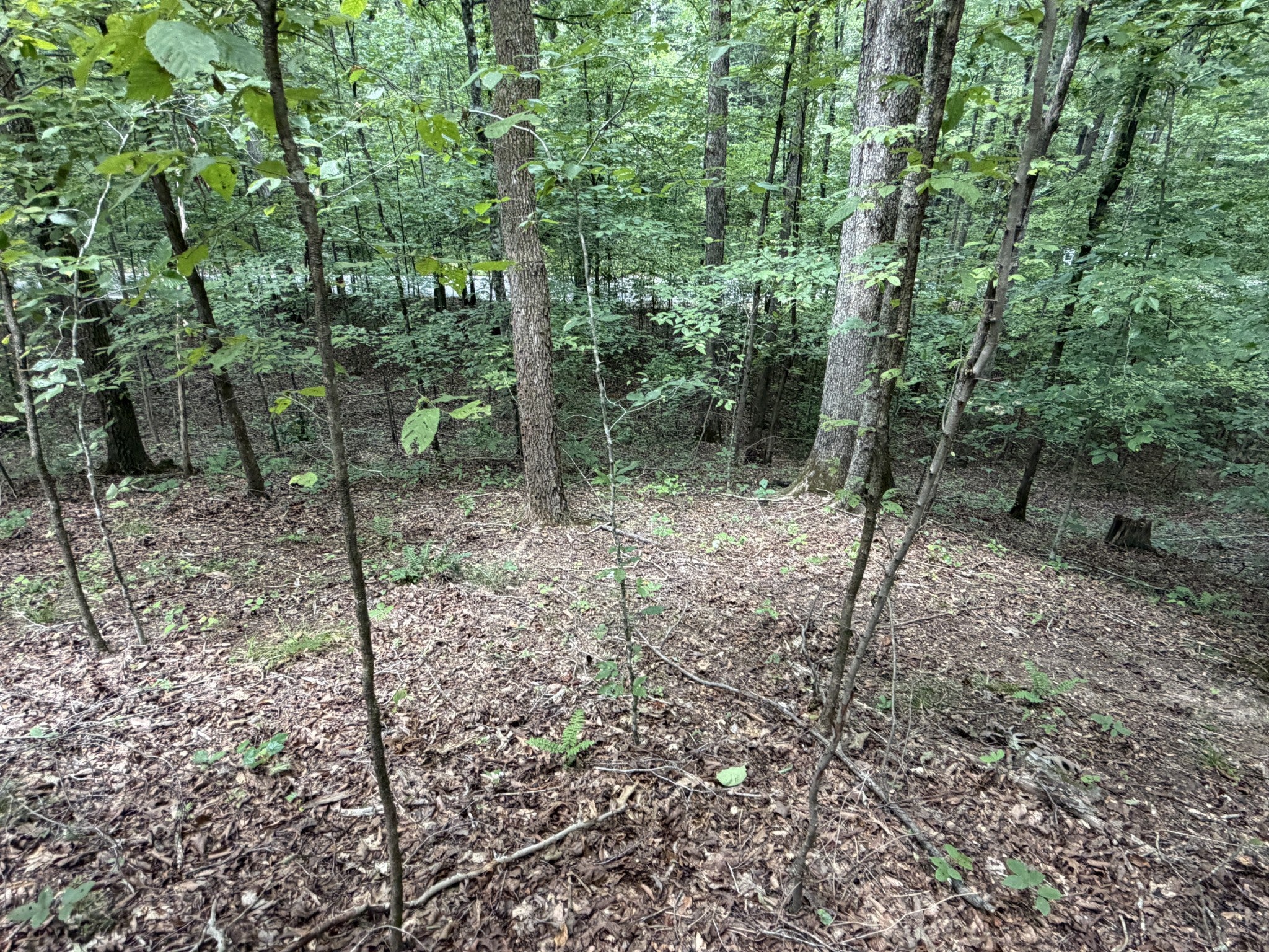 0 Deer Creek Rd