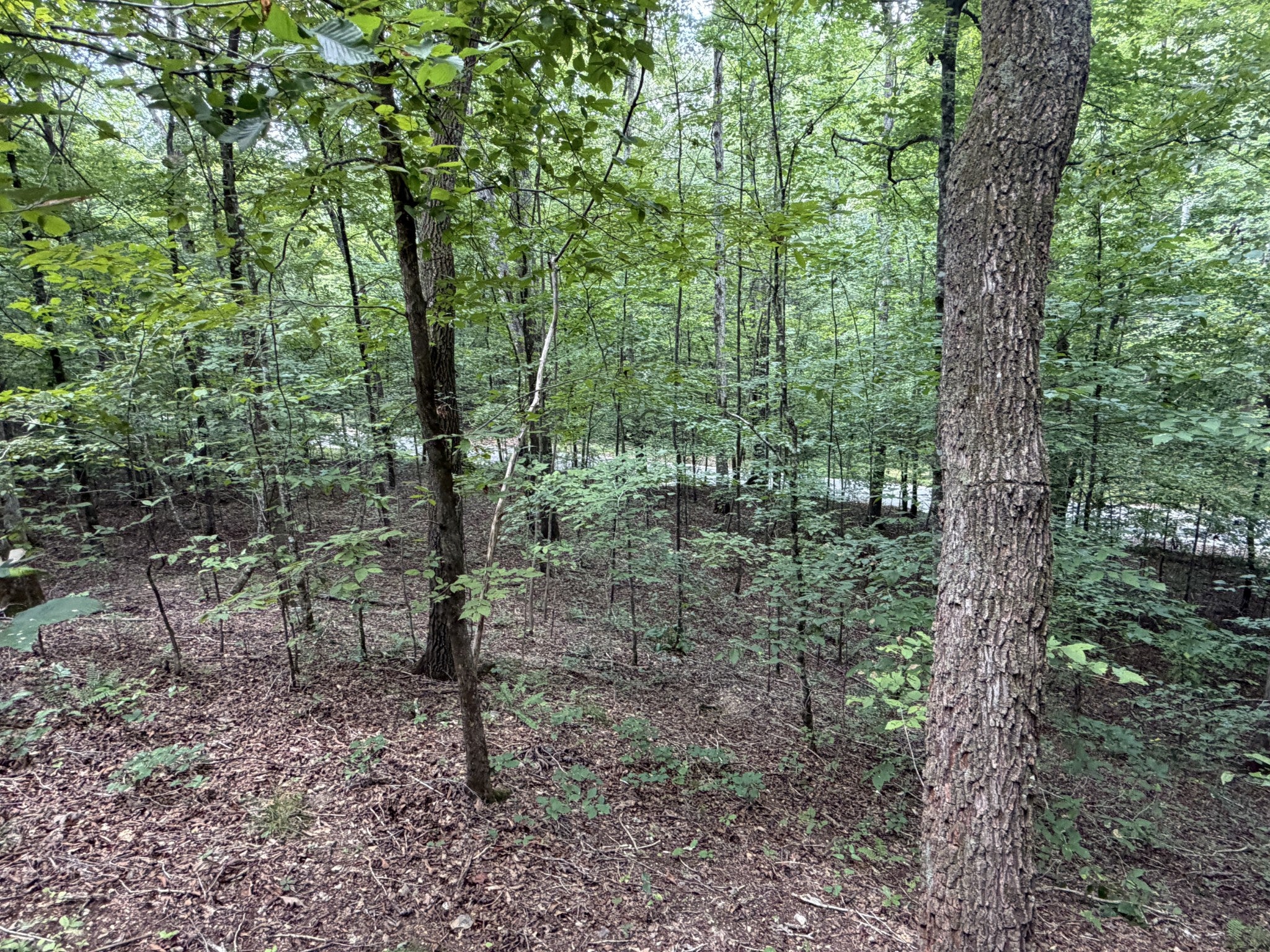0 Deer Creek Rd