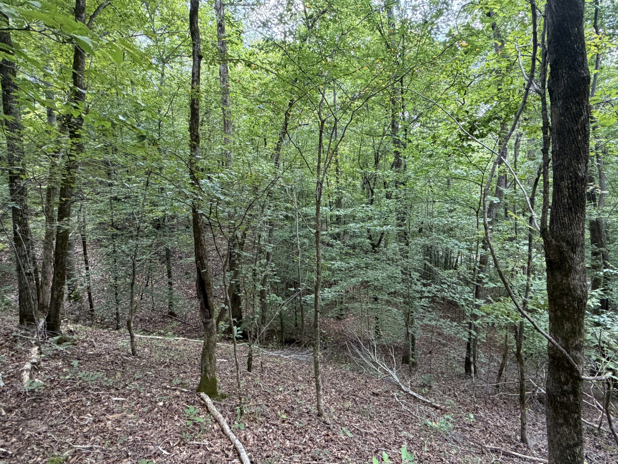 0 Deer Creek Rd