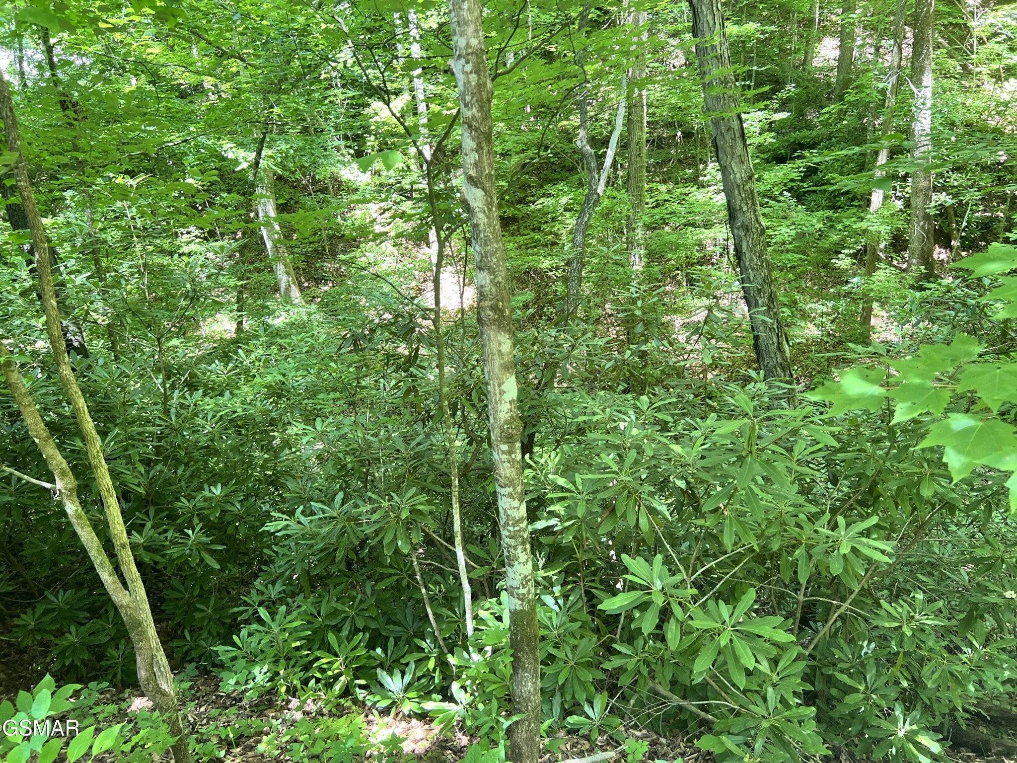110 Fir Drive