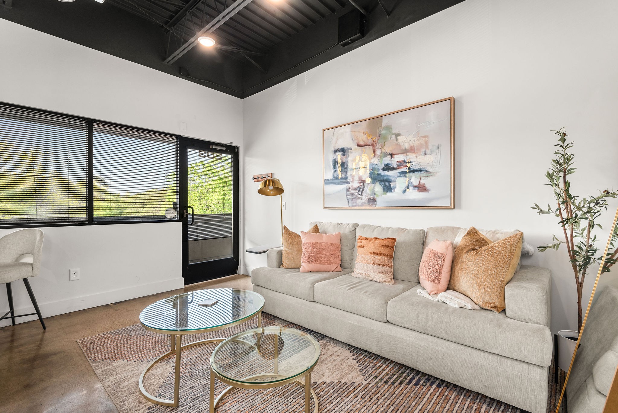 293 Plus Park Blvd 203