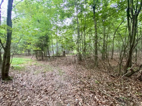 Featured picture for the property 2674127