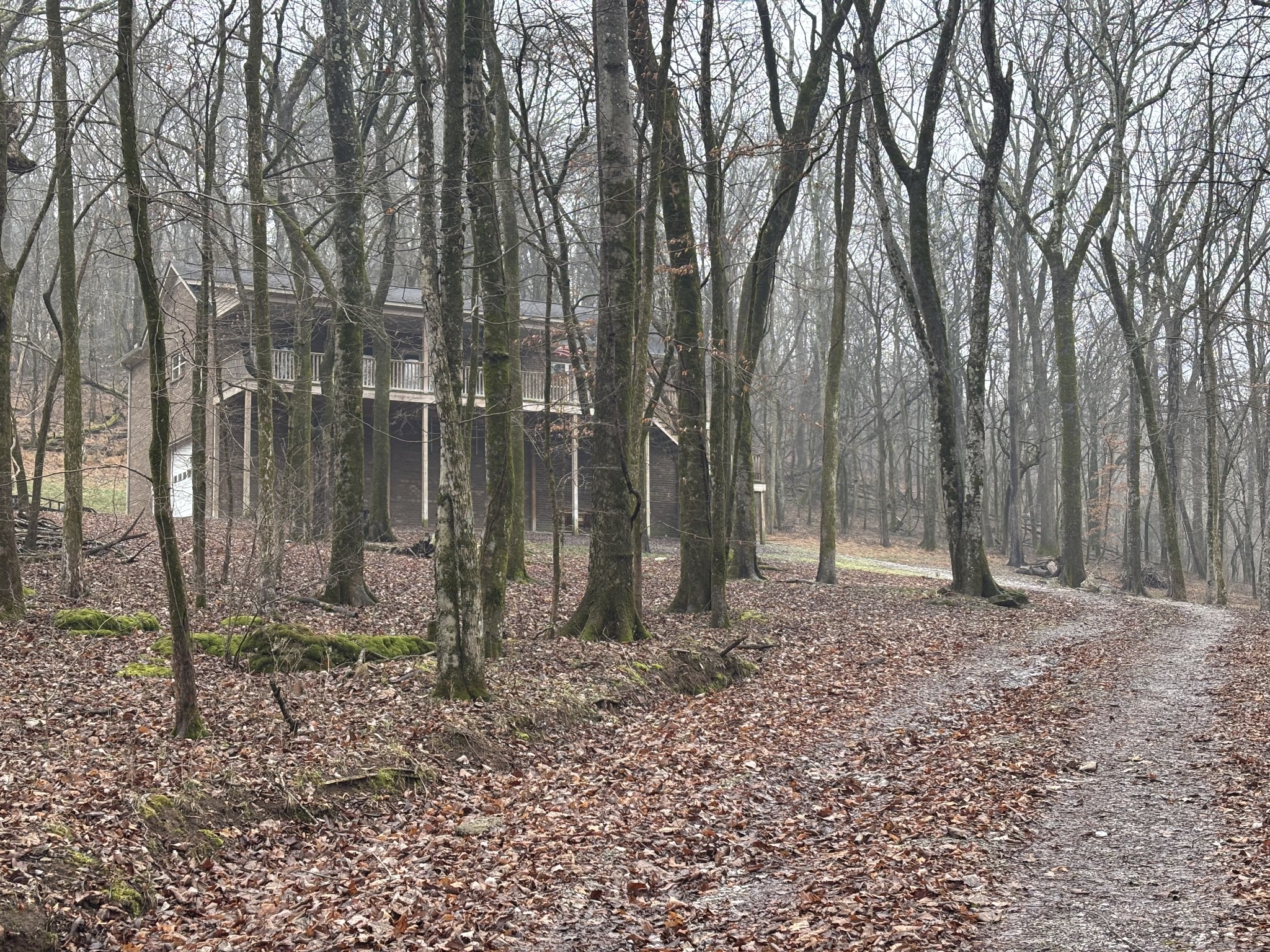 846 Red Bud Ln
