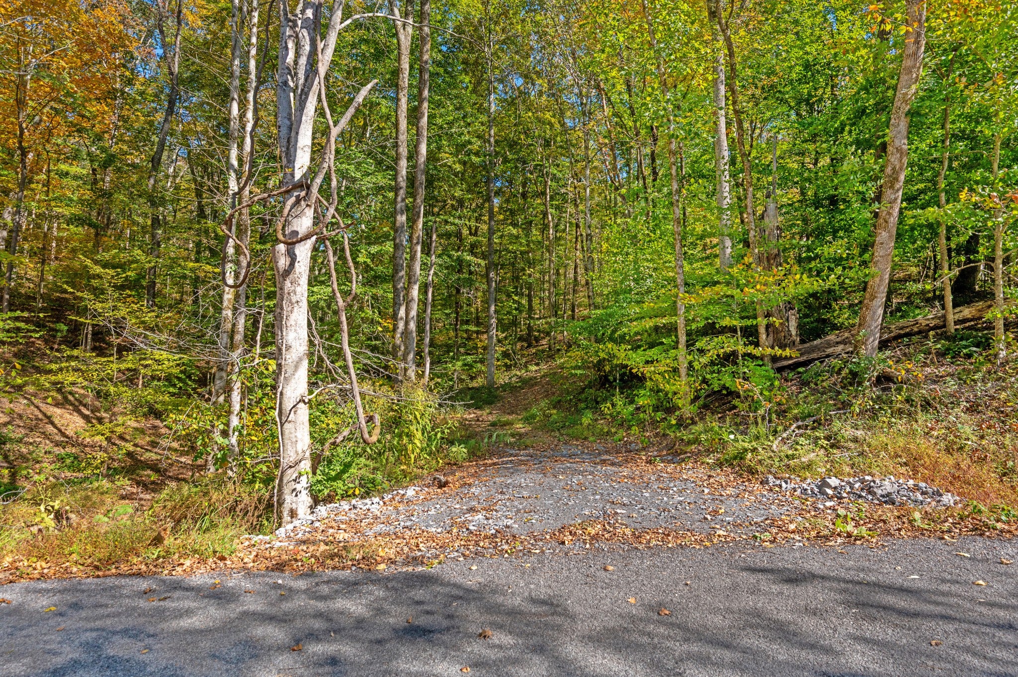 listing at 0 Bedford Creek Road, Franklin