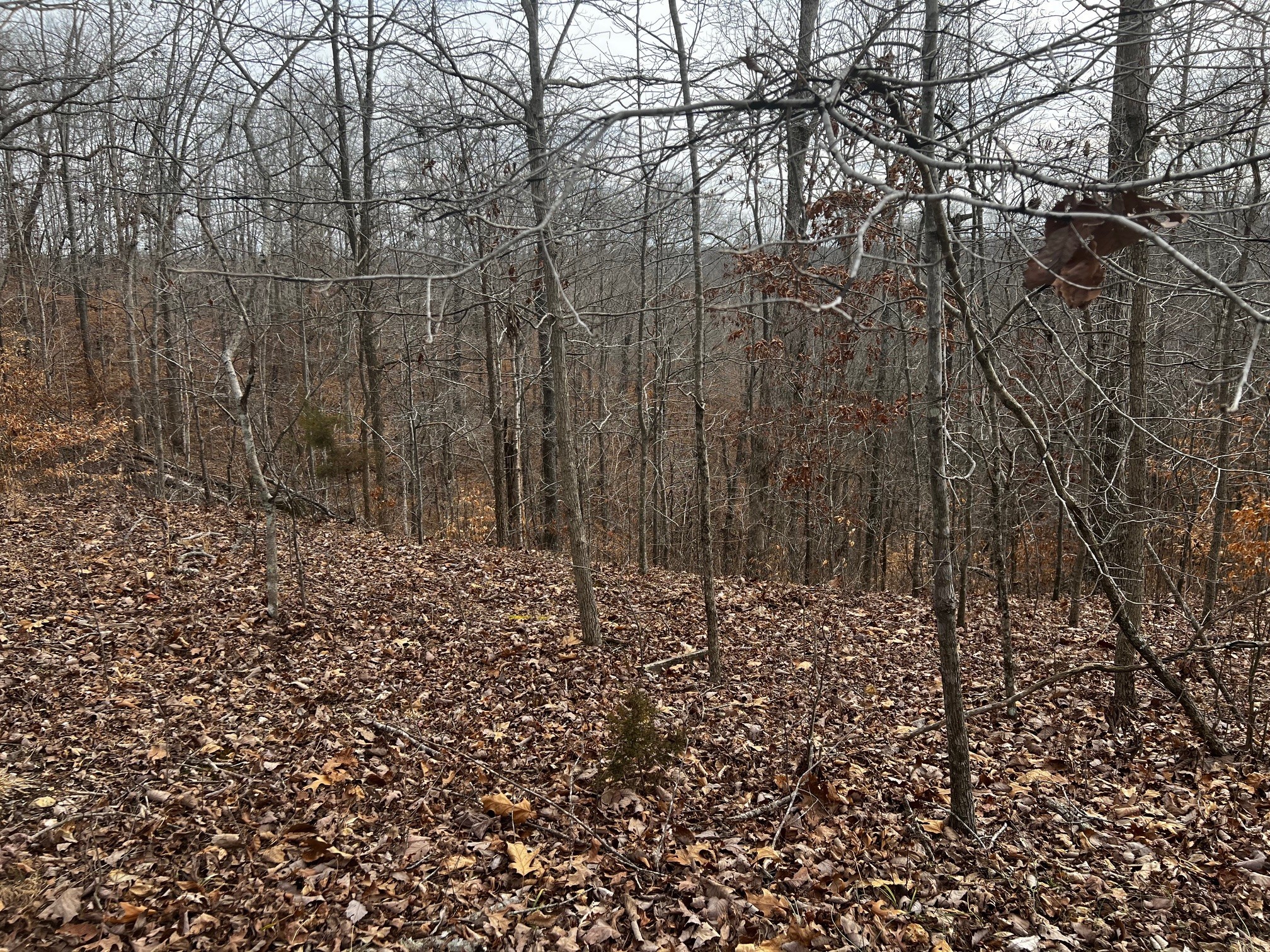 610 Bumpus Mills Rd