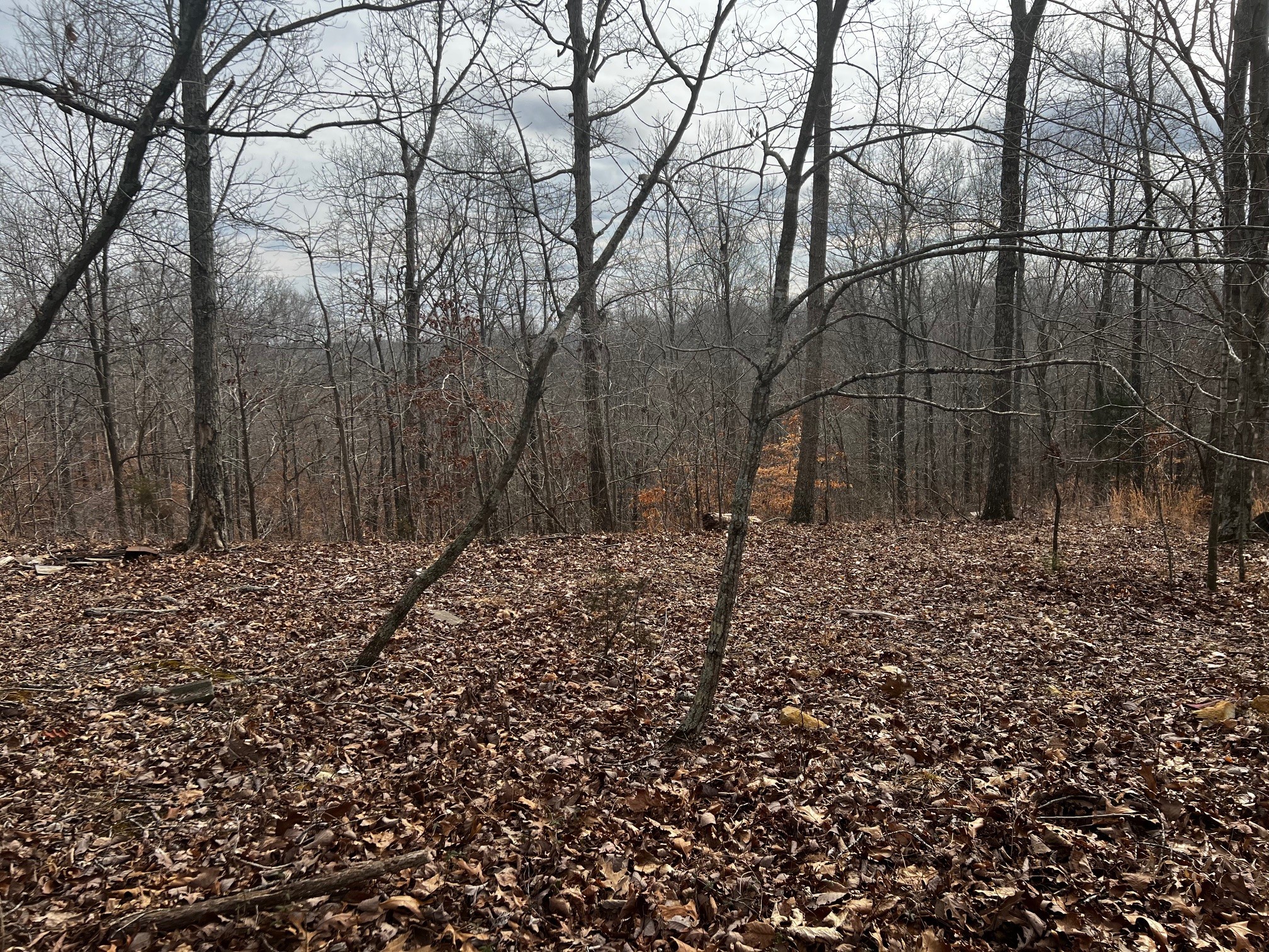 610 Bumpus Mills Rd
