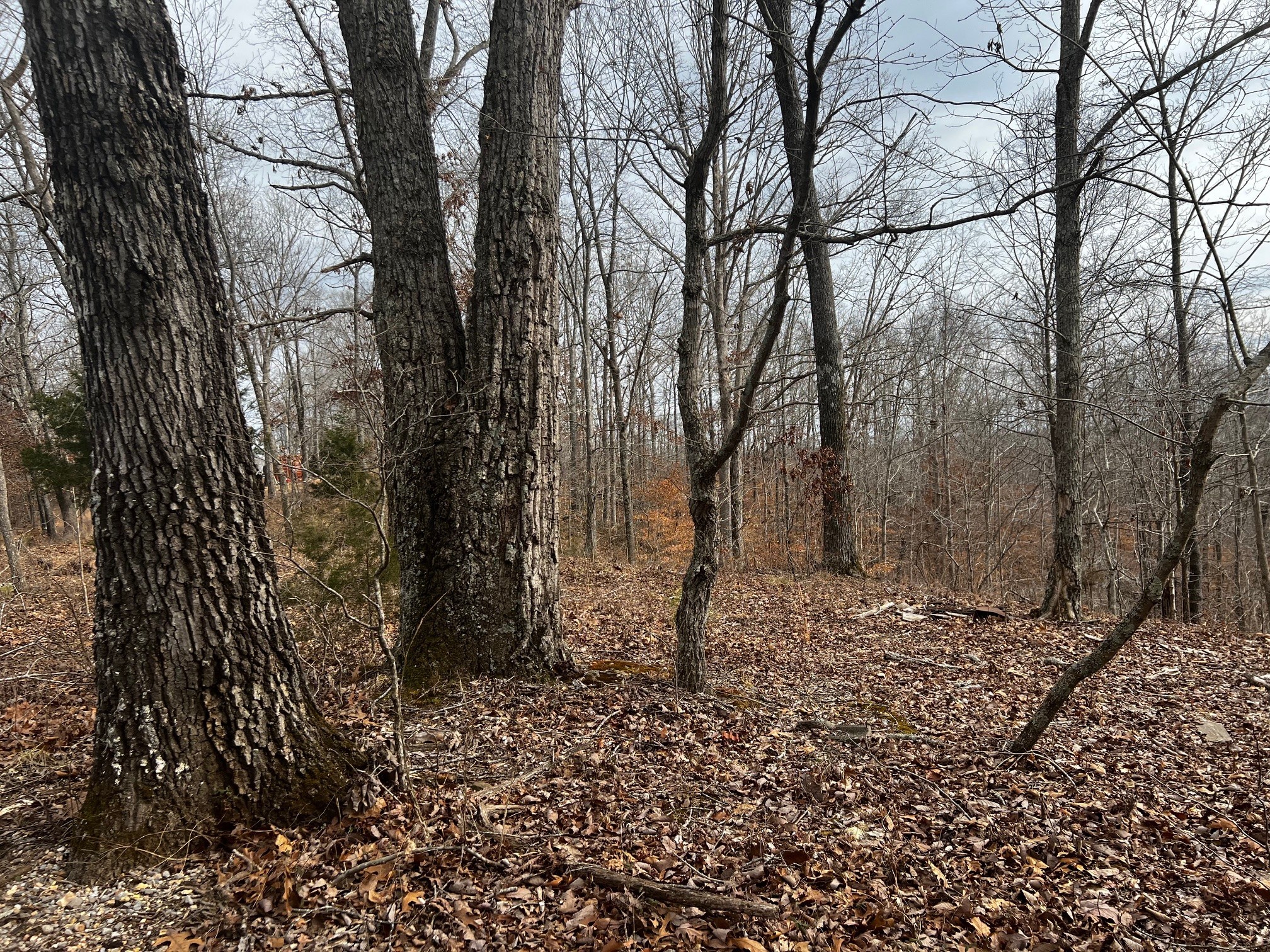 610 Bumpus Mills Rd