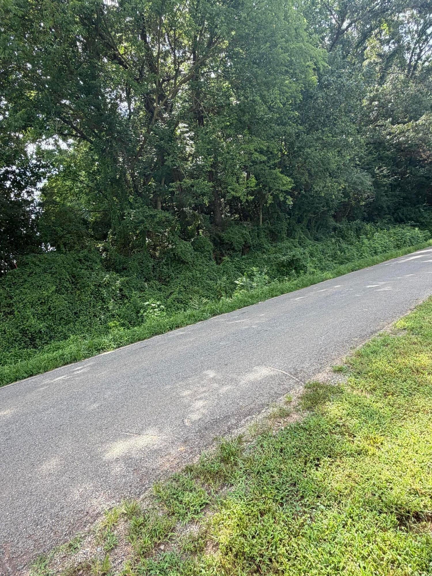 0 Randolph Fridley Road