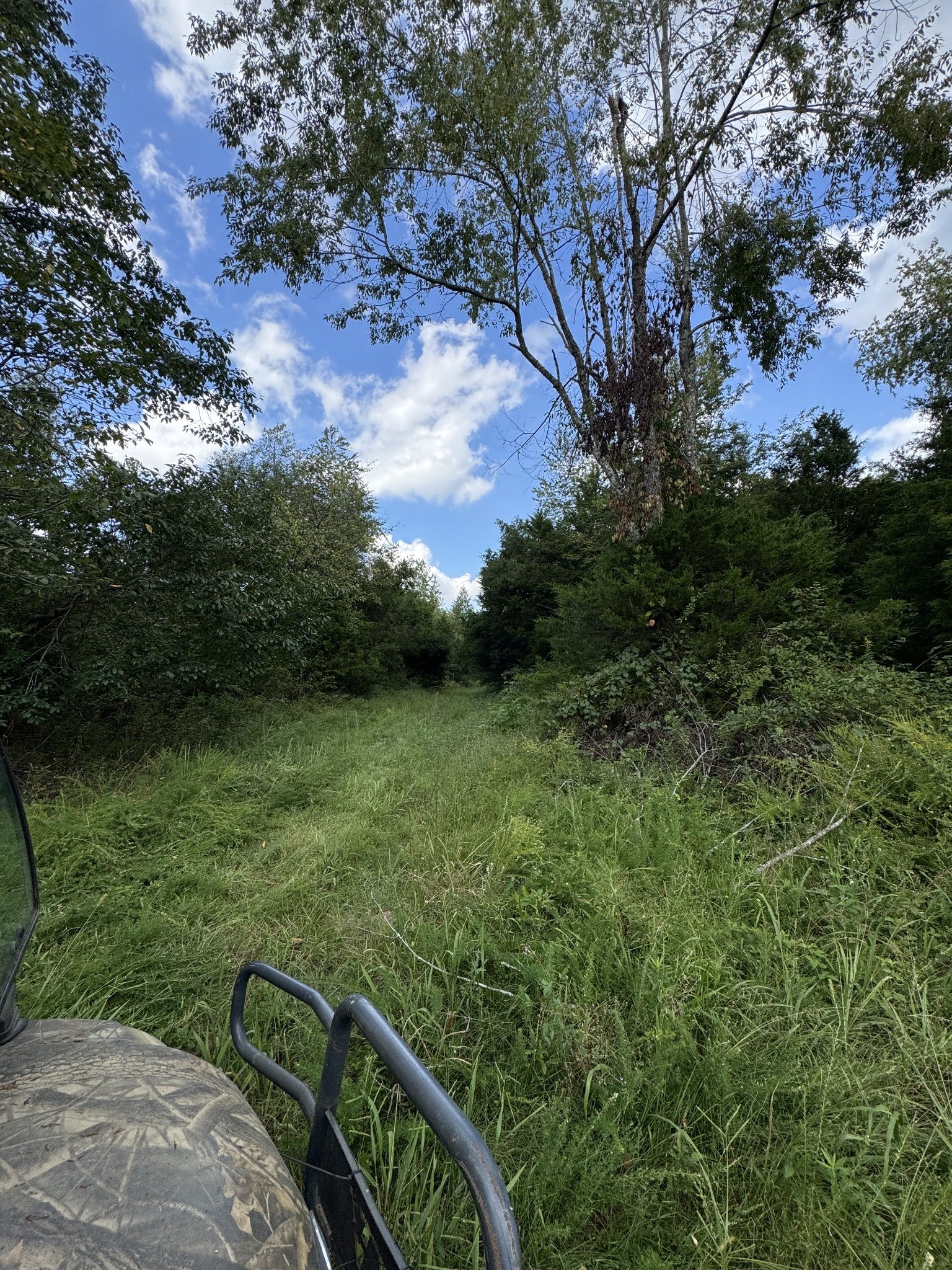 216 Running Meadows Rd