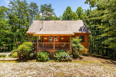 3447 Dogwood Circle Pigeon Forge TN 37863