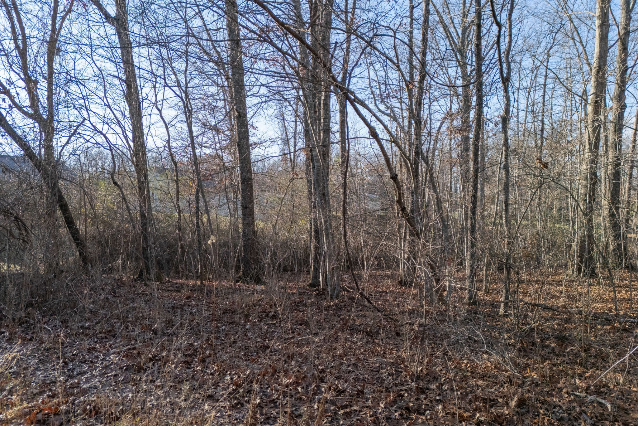 Photo 1 of 13 — 0 Satsuma Dr, Crossville, TN 38555