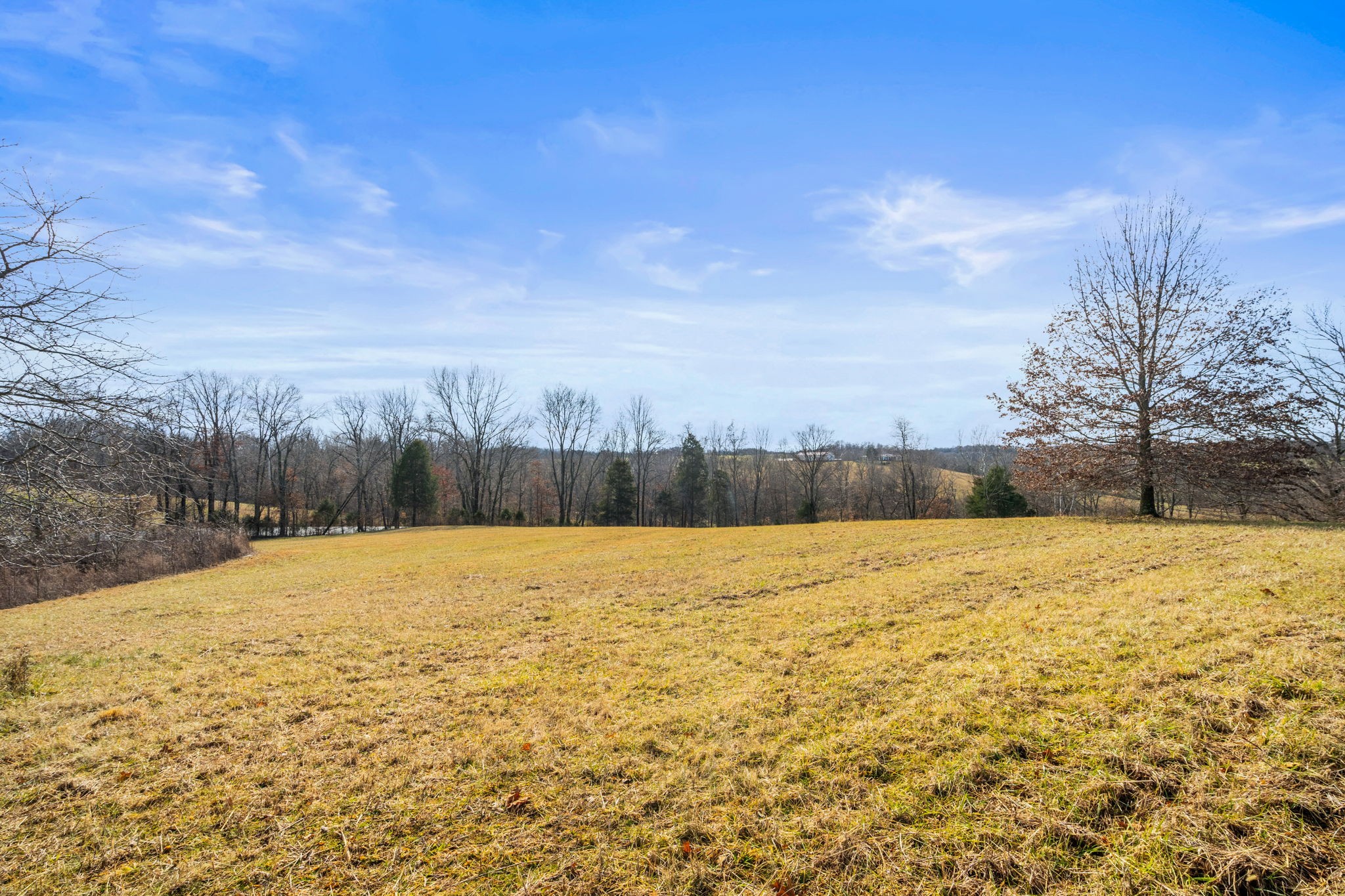 0 Buzzard Creek Road