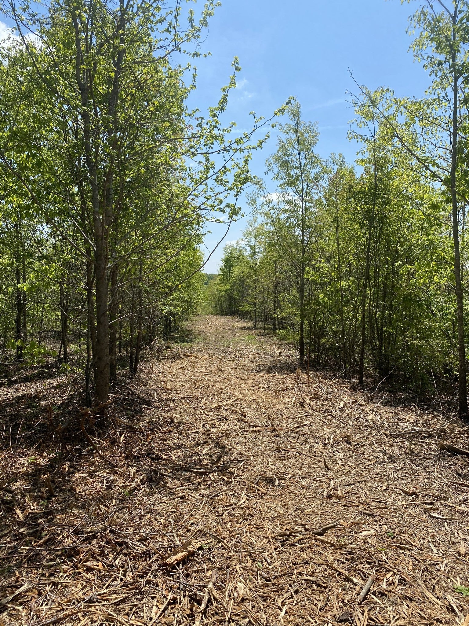 79 Overlook Trail