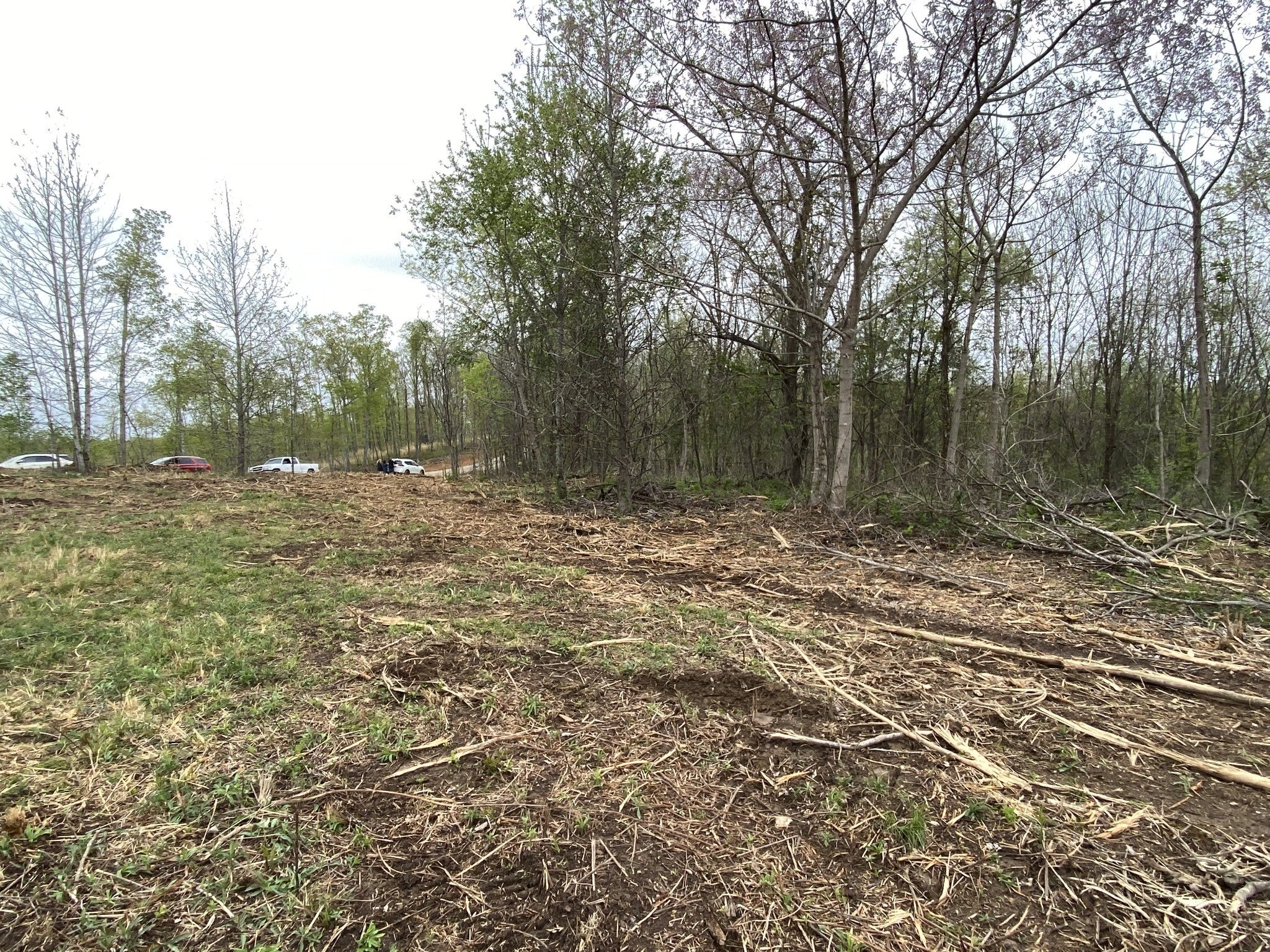 79 Overlook Trail
