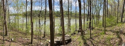 0A Patricia CIrcle Indian Mound TN 37079