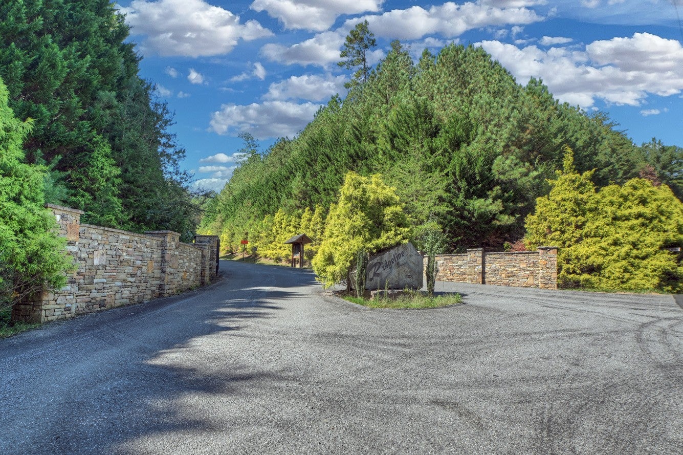 0 Skyline Drive