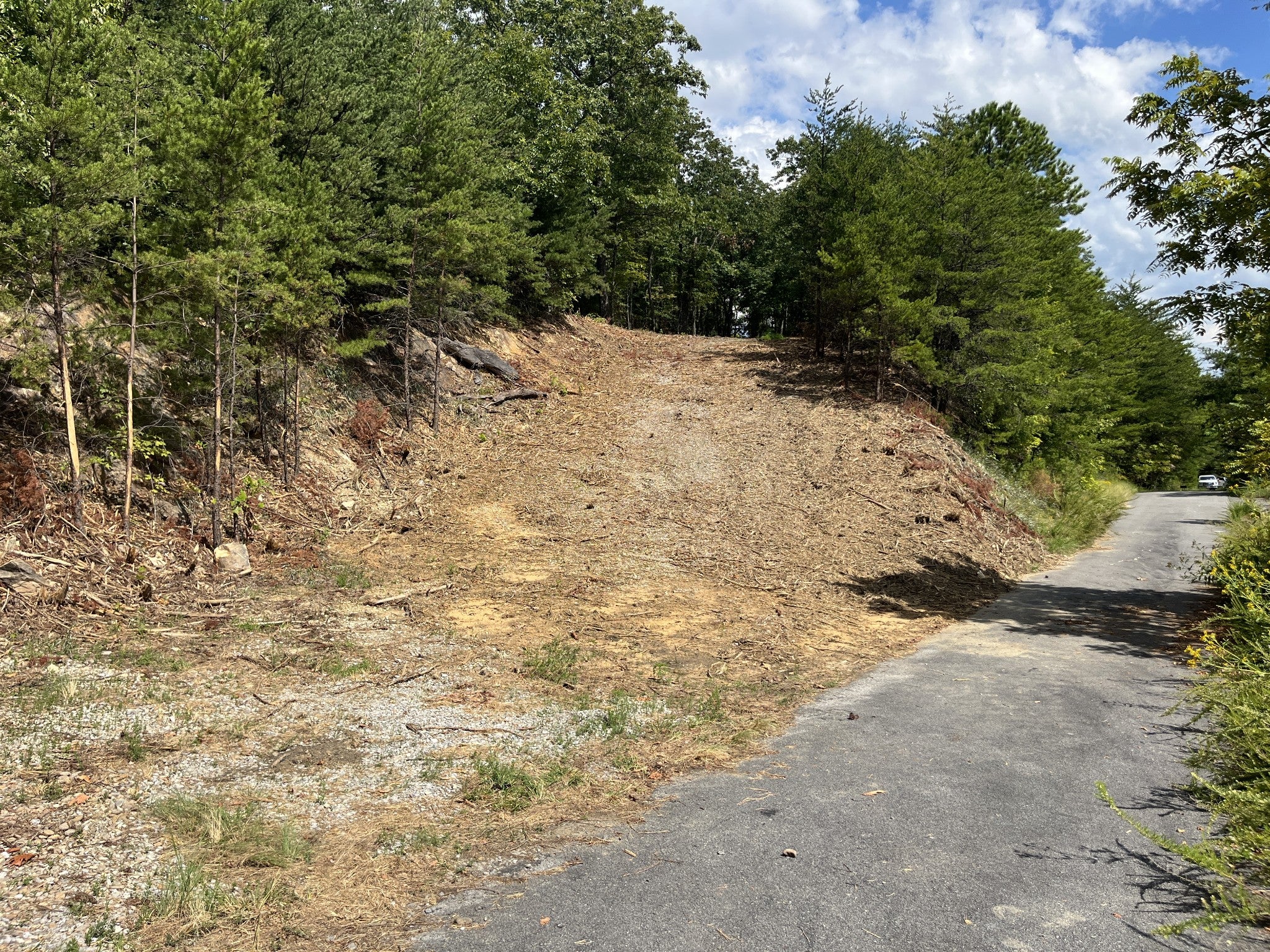 130 Setters View Lane
