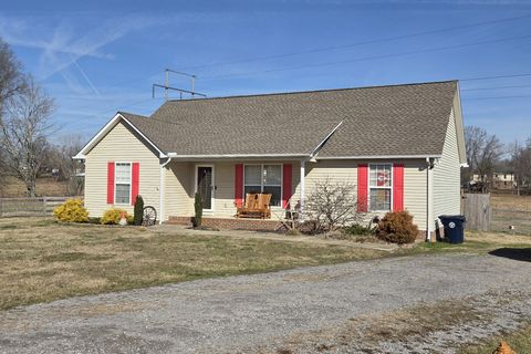 255 Greenwood Dr Smithville TN 37166