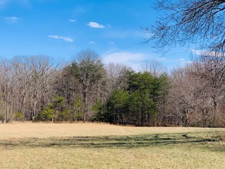607 Open Range Rd