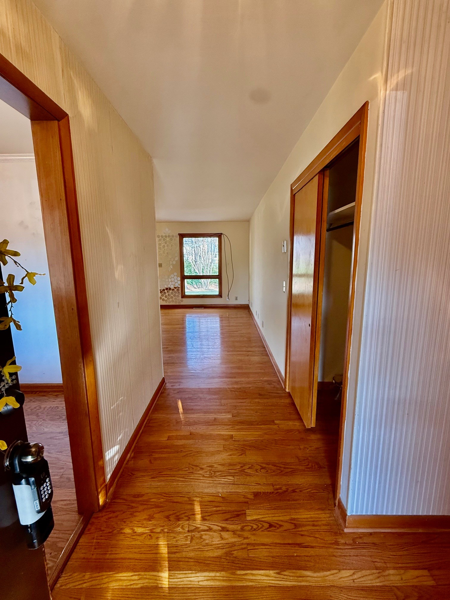 1919 Bradyville Pike