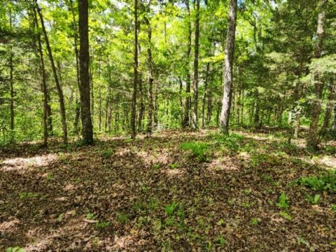 0 Froest Trails Celina TN 38551