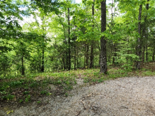 0 Froest Trails