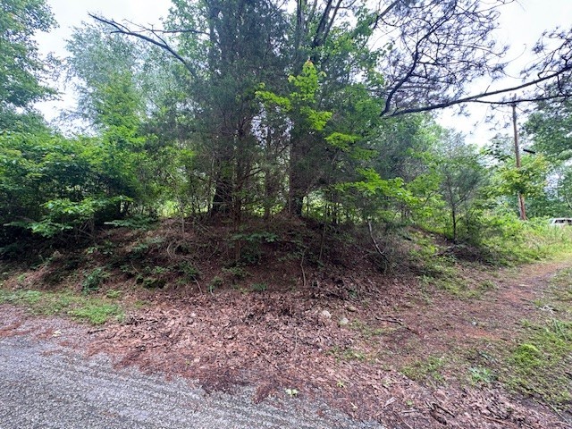 1970 Trace Creek Rd