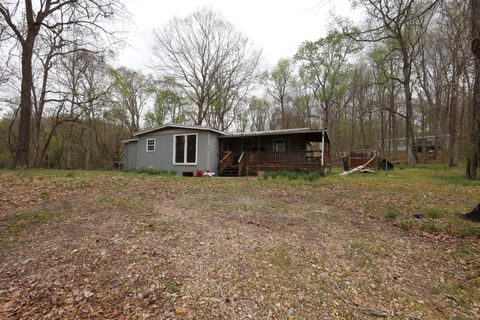 109 Furnace Hill Rd Indian Mound TN 37079