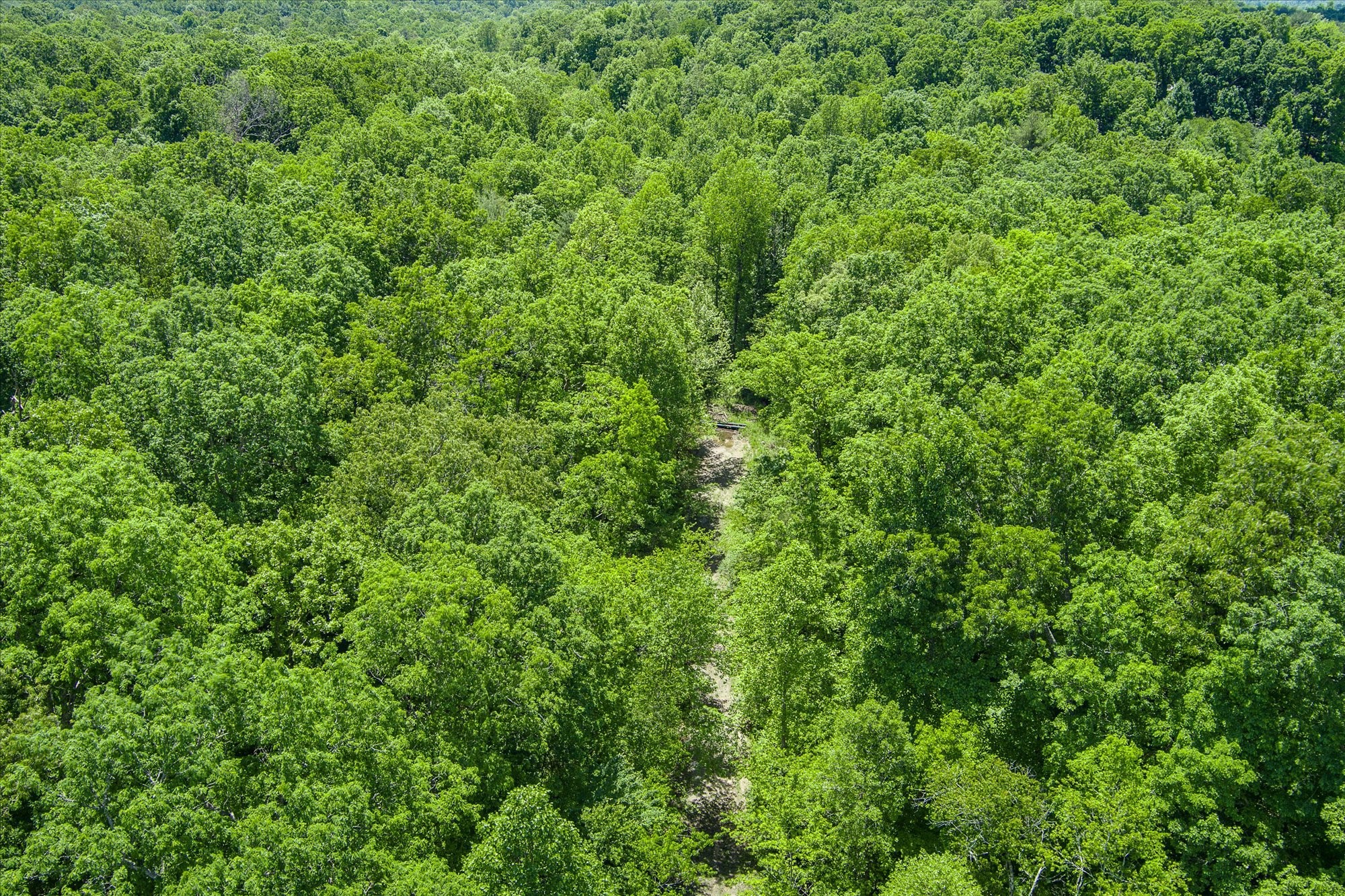 169 Woods Hollow Ln