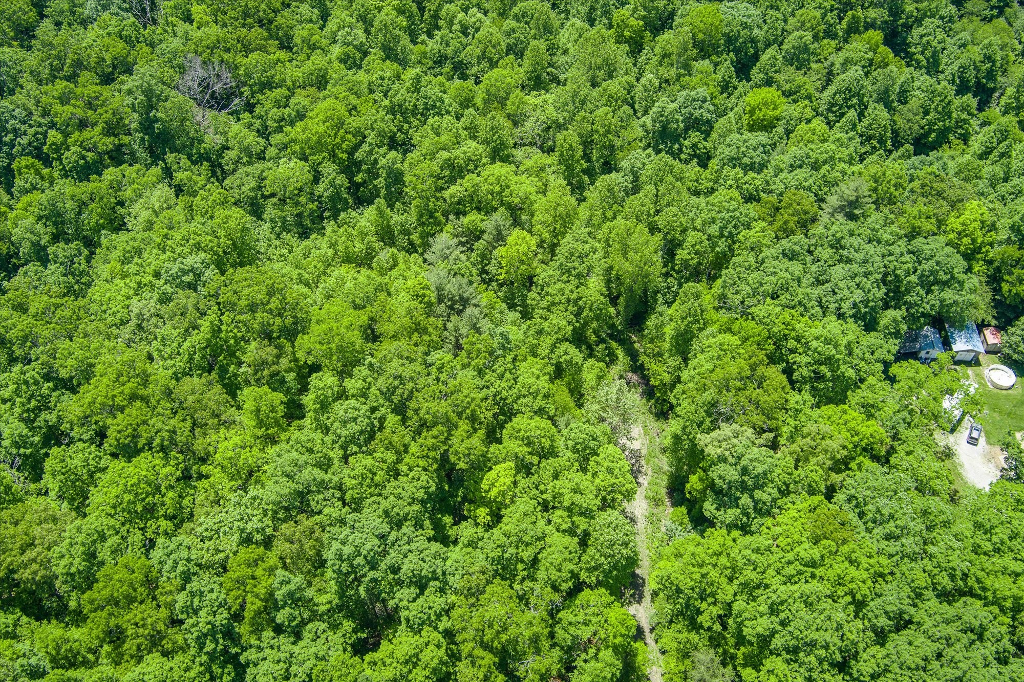 169 Woods Hollow Ln