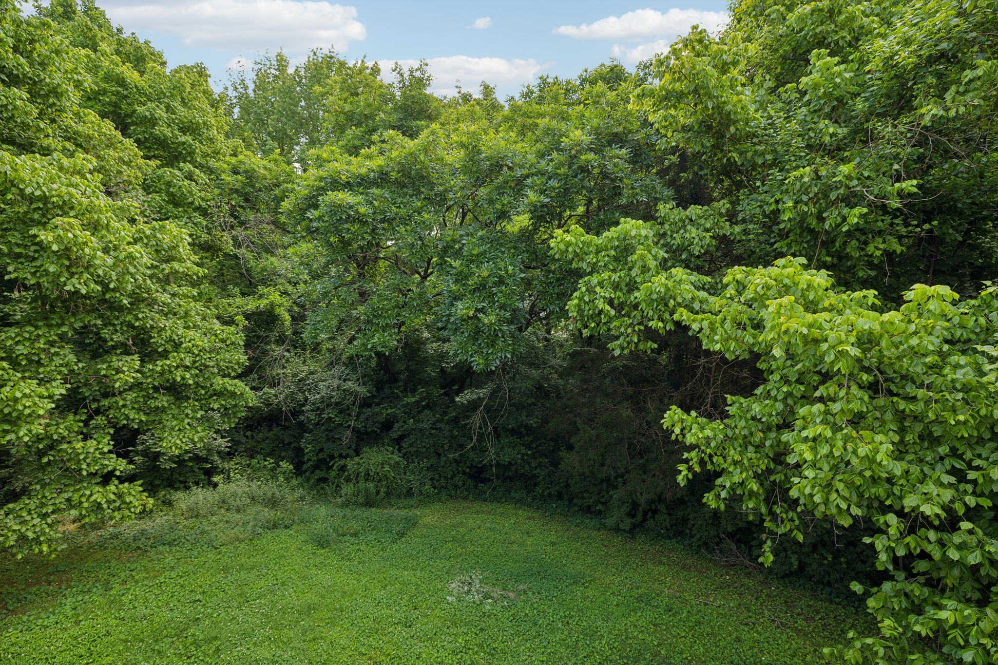 4750 Trenton Dr