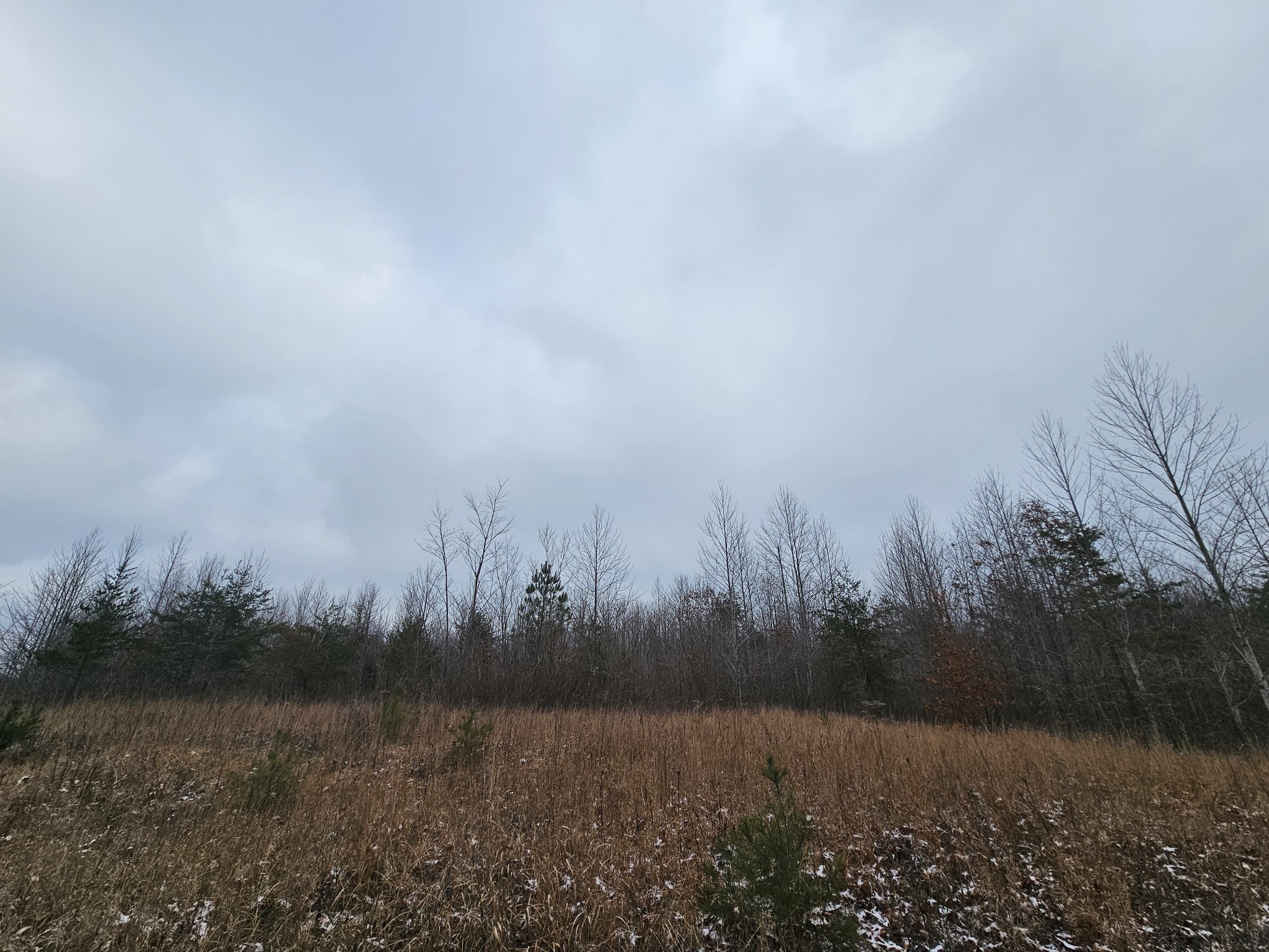 0 Tootley Campbell Rd