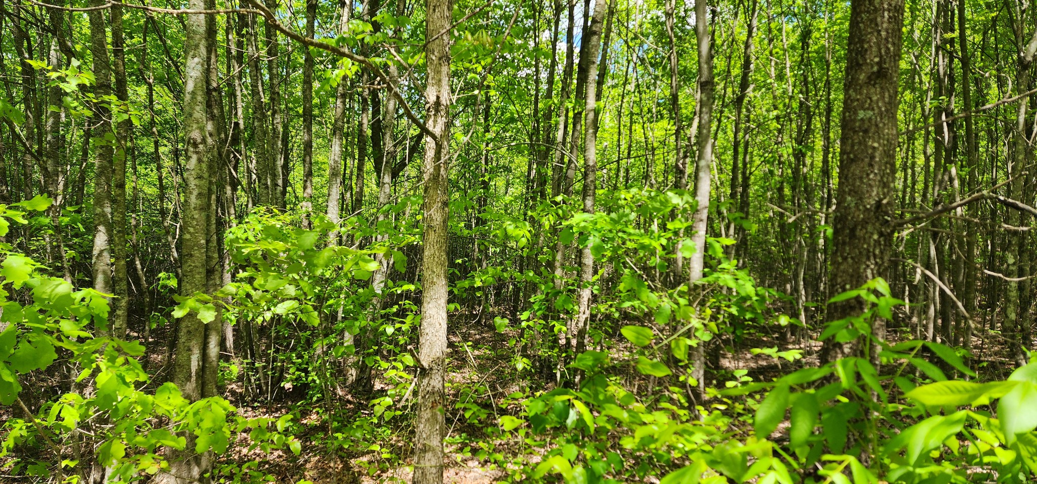 0 Tootley Campbell Rd